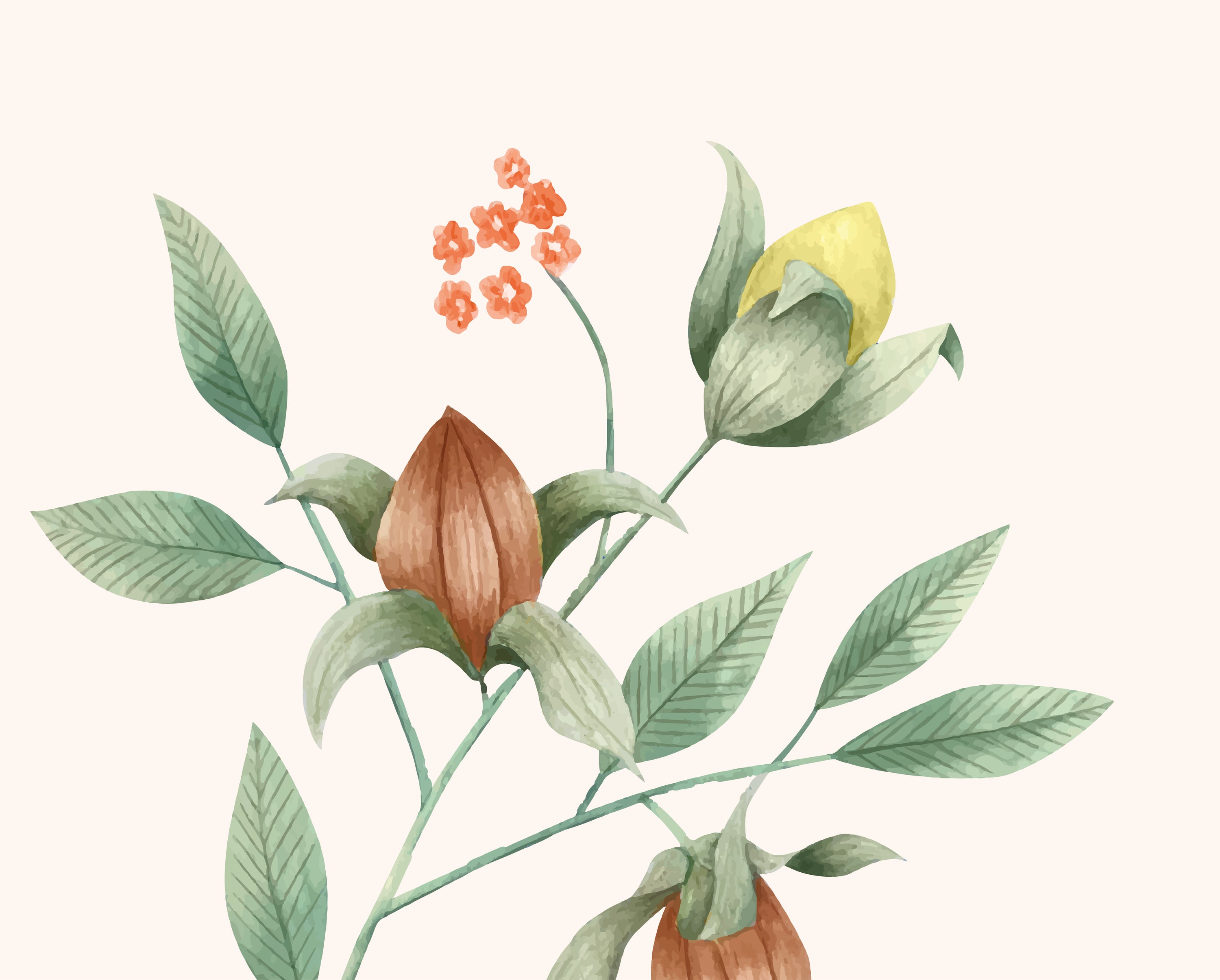 ACEITE VEGETAL DE ARGÁN ECOLÓGICO