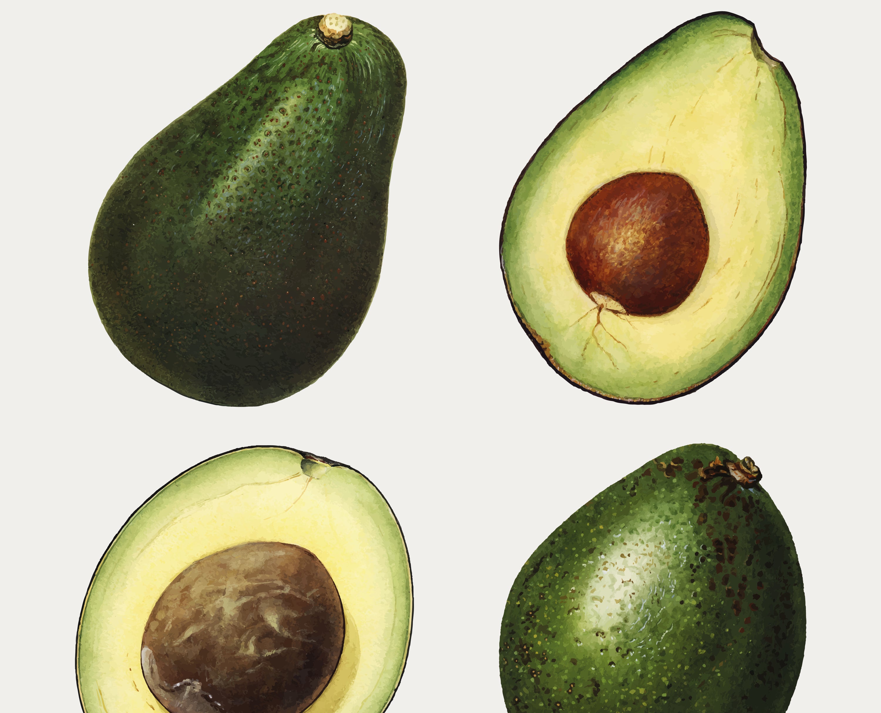 Aceite vegetal de aguacate ecológico