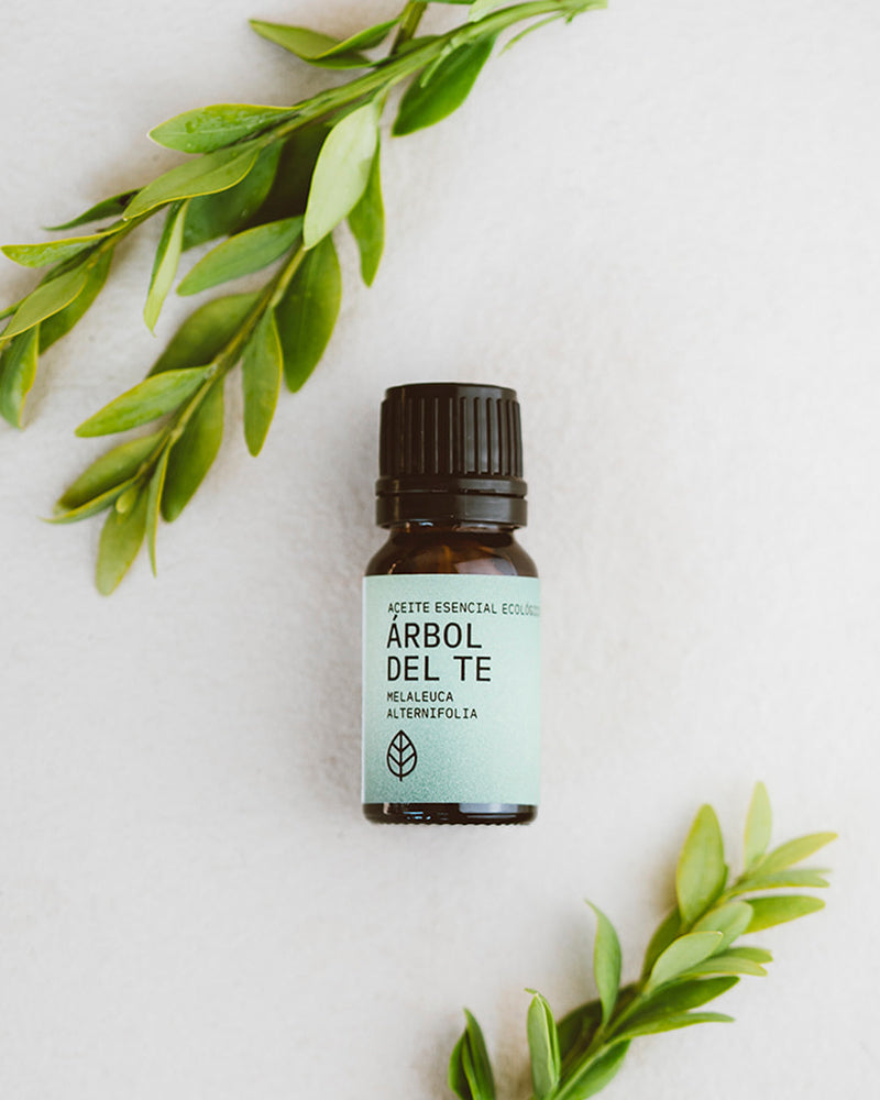 ACEITE ESENCIAL DE ÁROBOL DEL TÉ